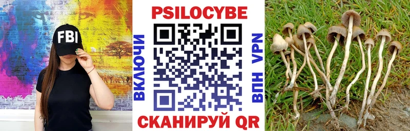 Галлюциногенные грибы MAGIC MUSHROOMS где продают Тавда